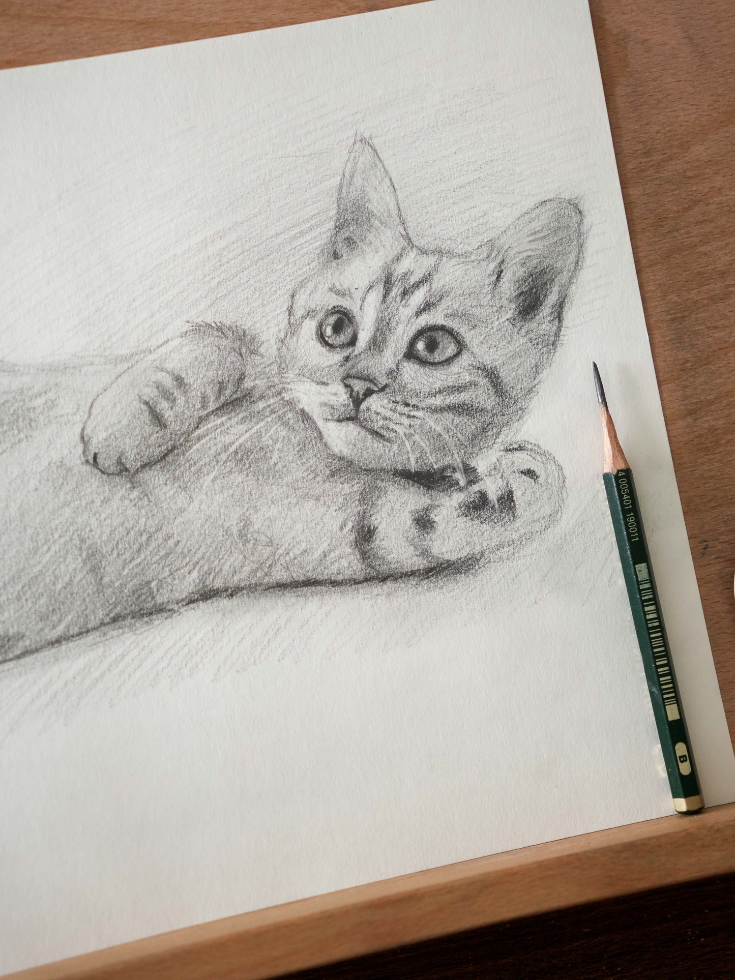 Le chaton allongé - Dessin Original