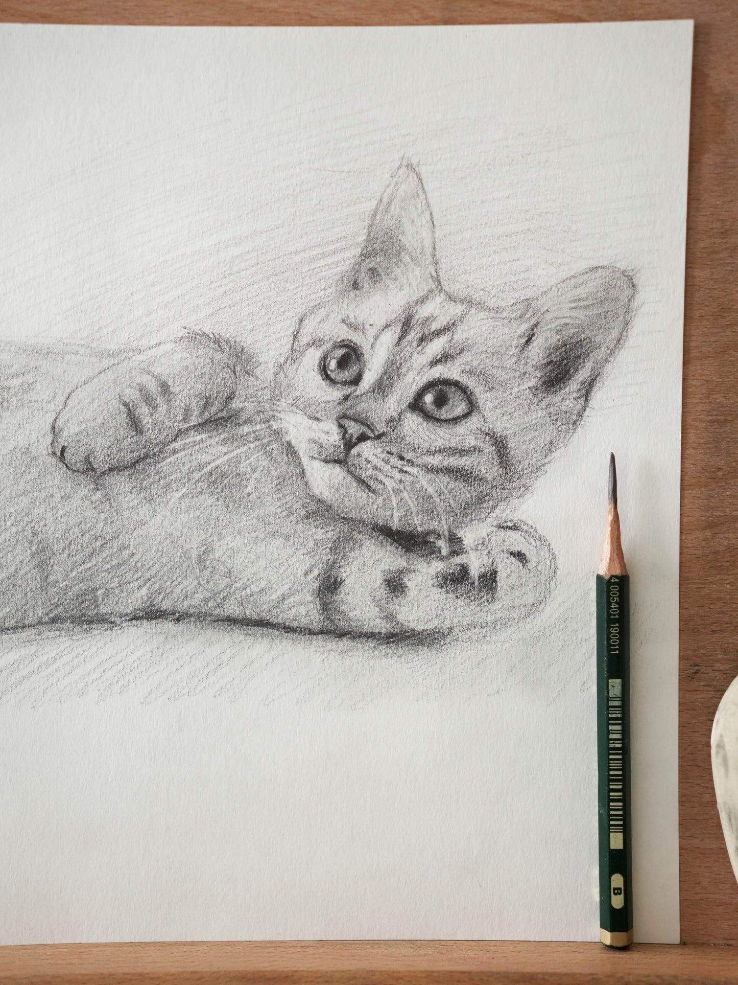 Le chaton allongé - Dessin Original