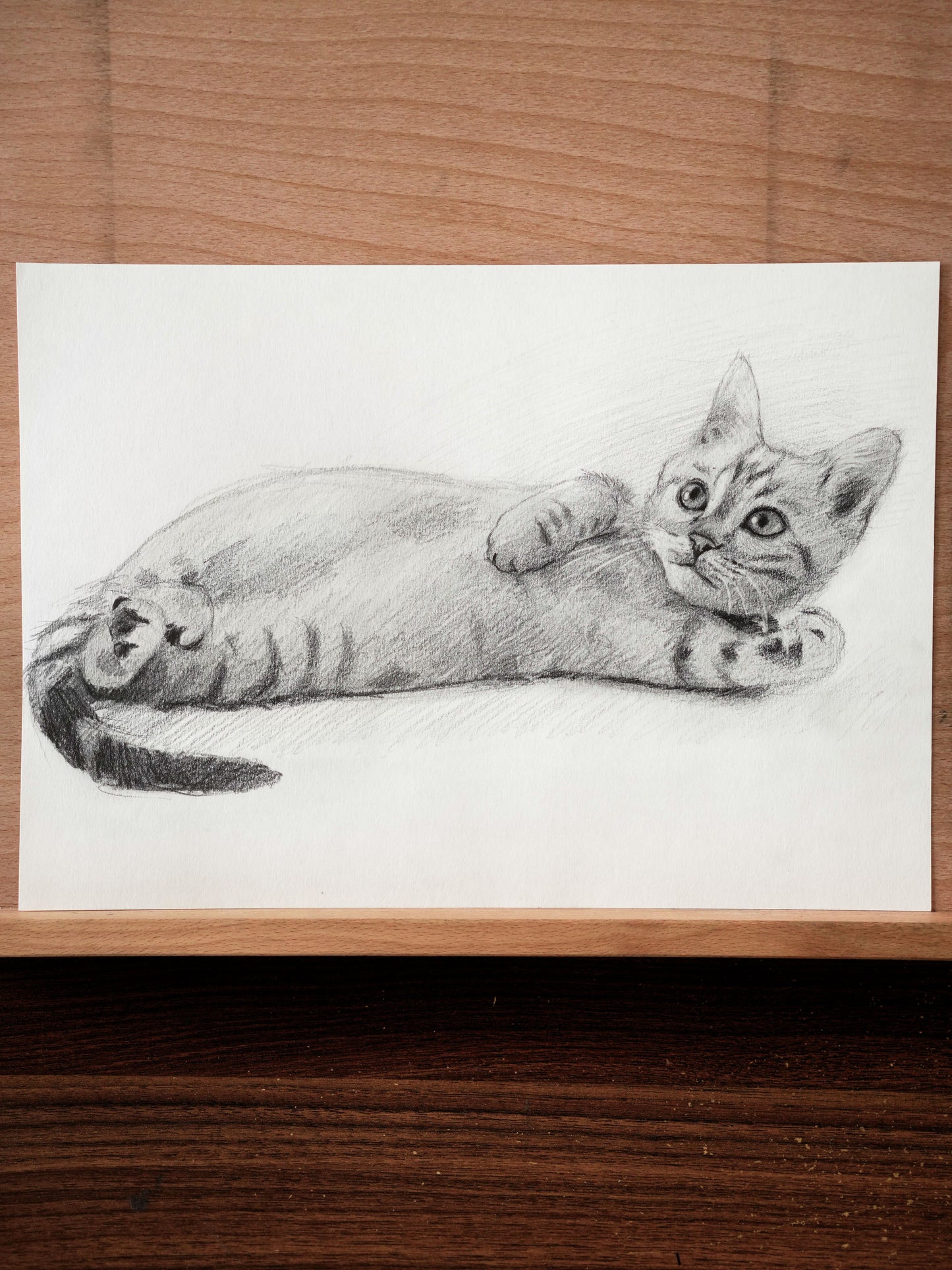 Le chaton allongé - Dessin Original