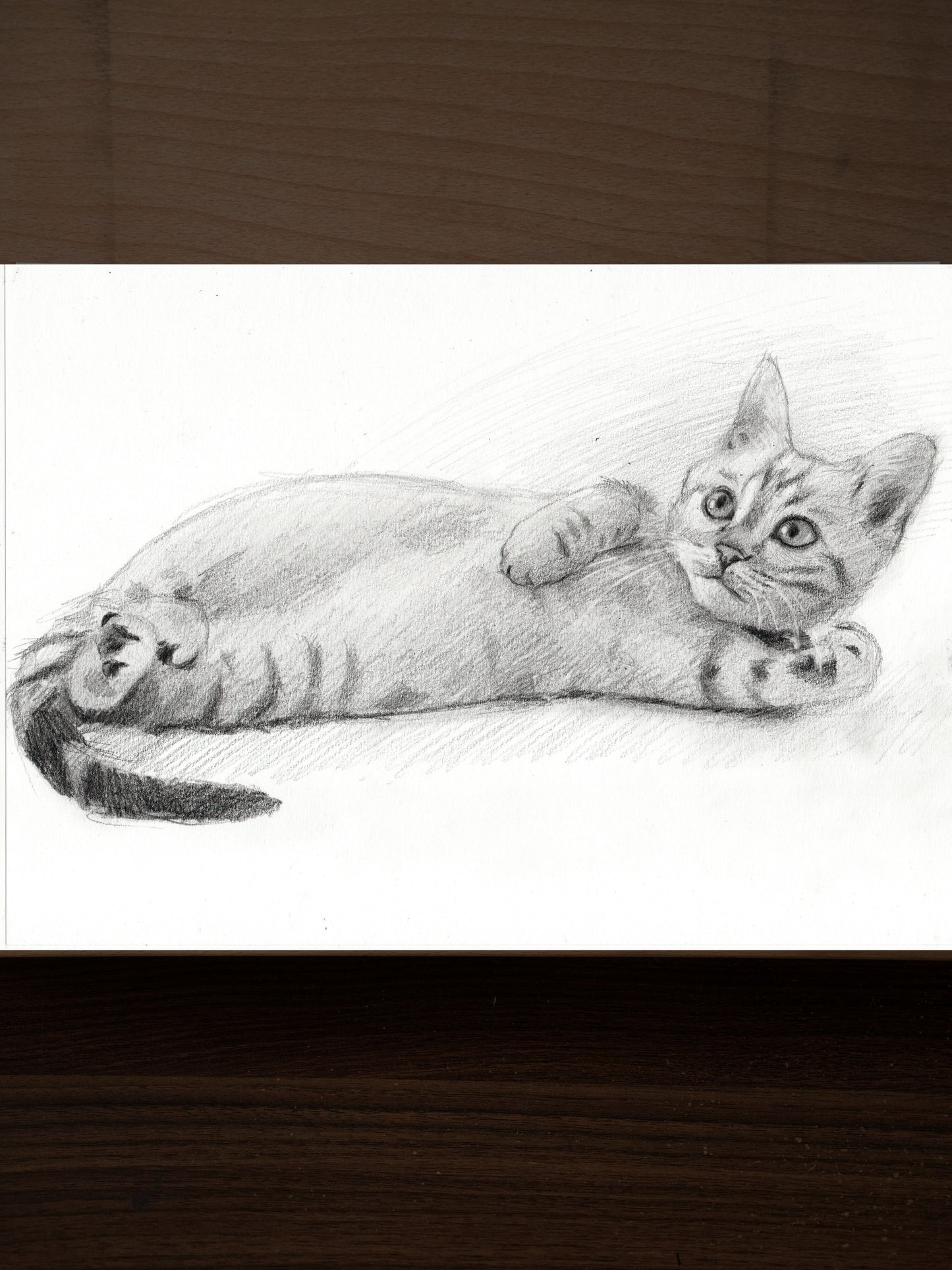 Le chaton allongé - Dessin Original