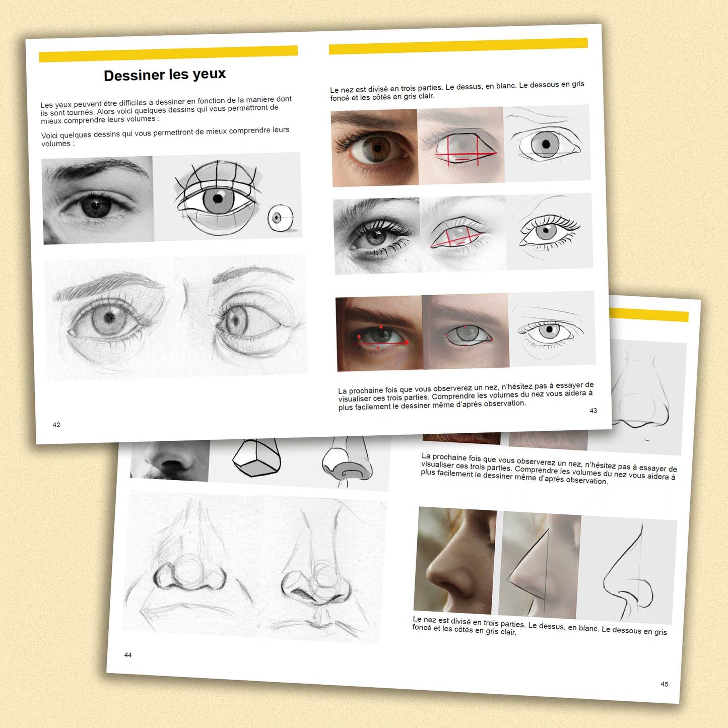 Ebook : Le Portrait Sans Anatomie